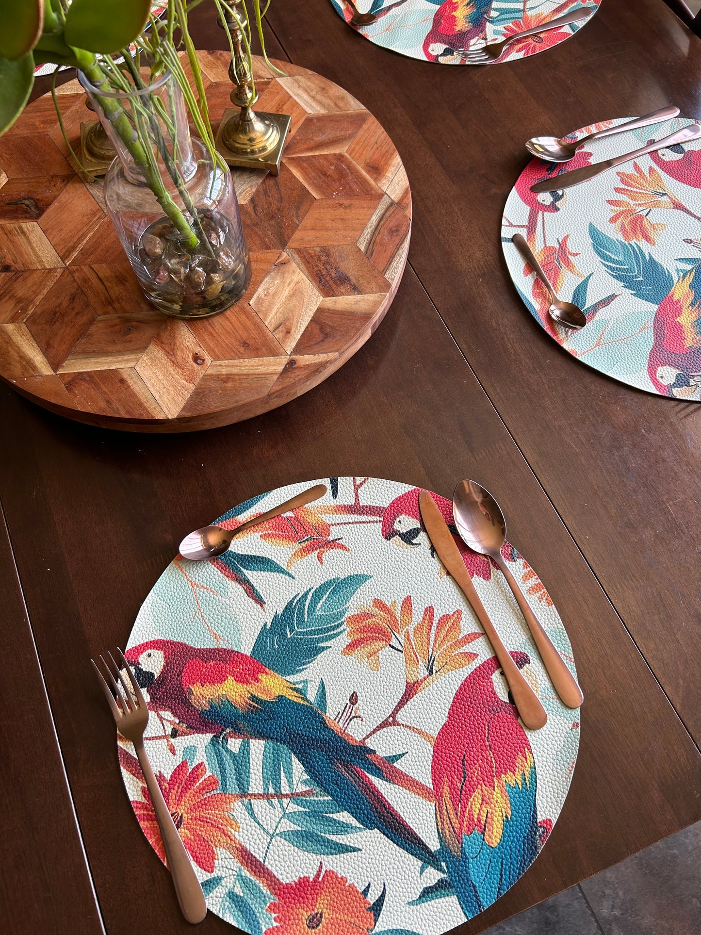 Alegría de Aves